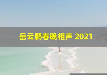 岳云鹏春晚相声 2021